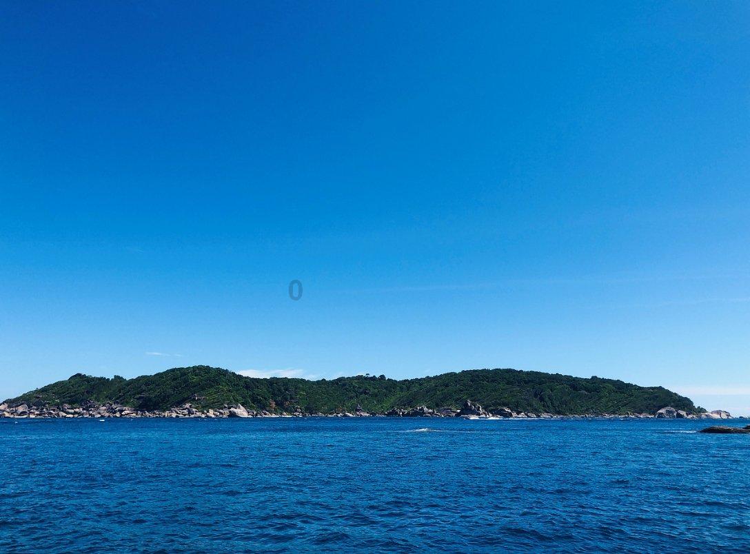 蜂王救援